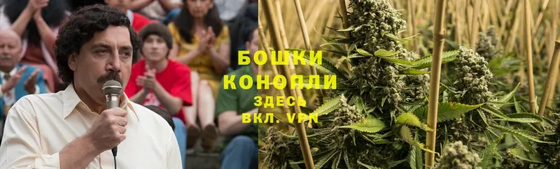 Канабис Bruce Banner  Багратионовск 